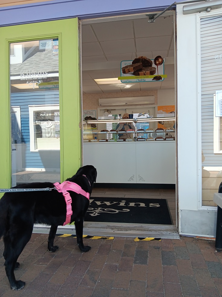 Ruthie the Rescue goes shopping for sweets