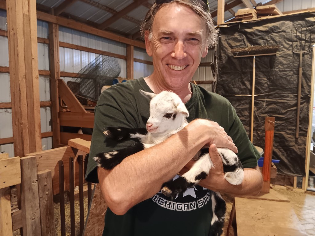 Harvest Host baby goat