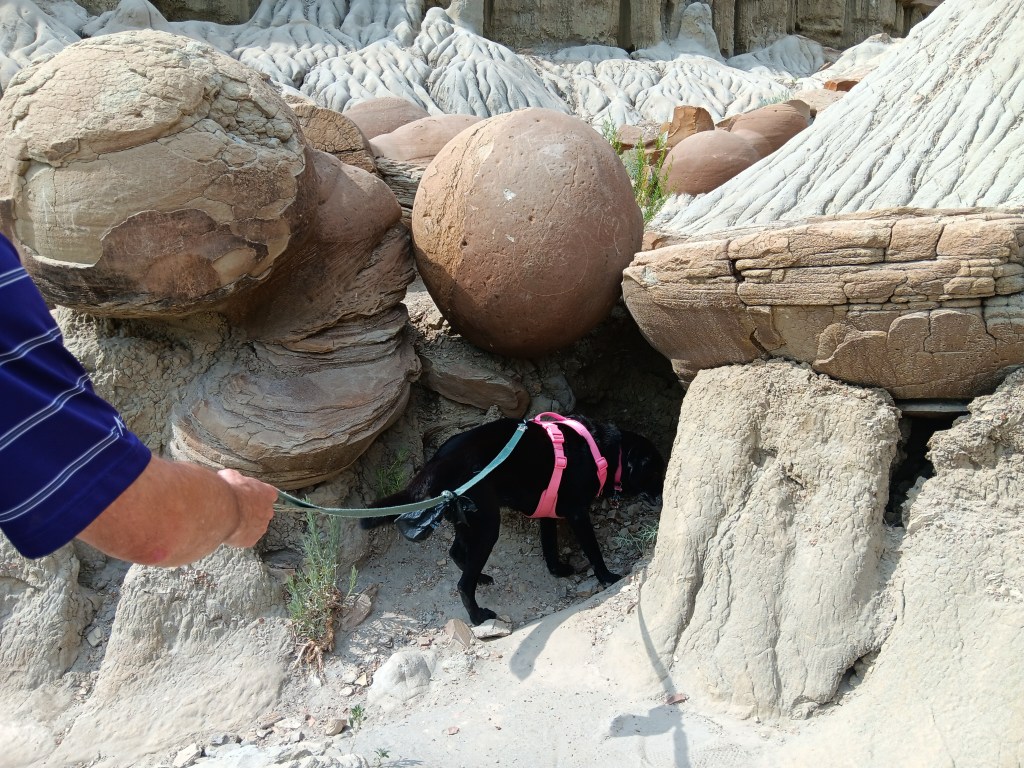 Theodore Roosevelt National Park North Unit cannonball rocks ruthie