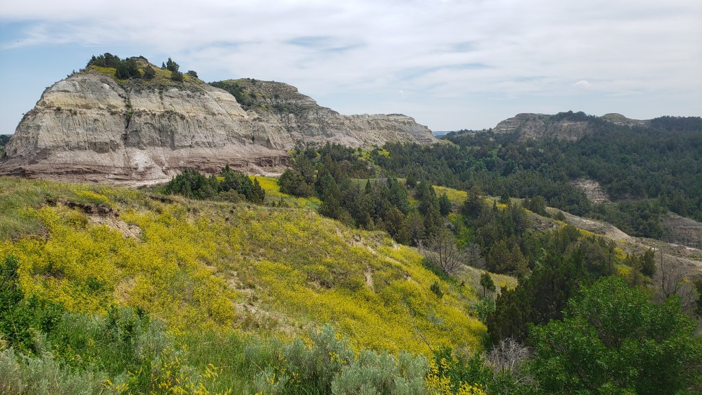 Theodore Roosevelt National Park South Unit landscape