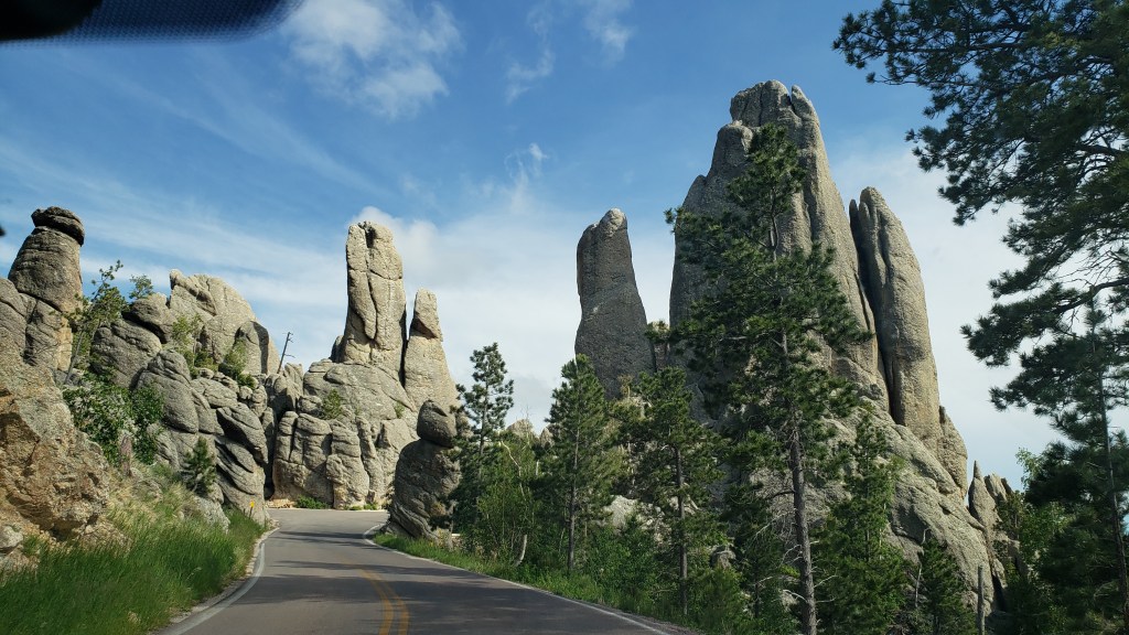 needles highway landscape