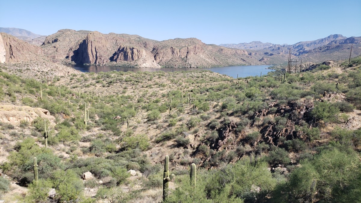 The Forgotten Road To Tortilla&nbsp;Flat