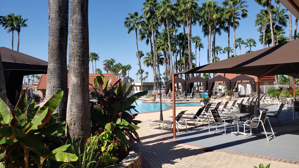 Wrapped In Donna’s Loving&nbsp;Embrace